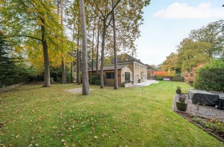 1373998-42-69039a...