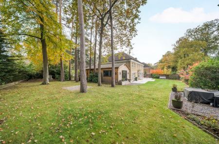 1373998-41-69039a...