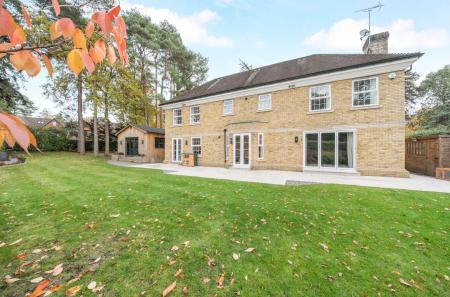 1373998-45-69039a...