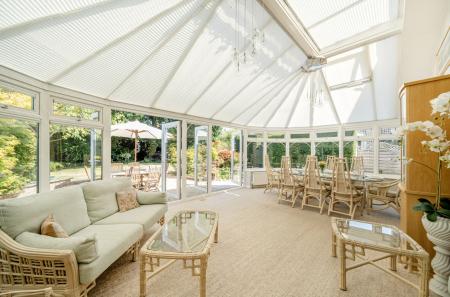 1335977-7-689f164...