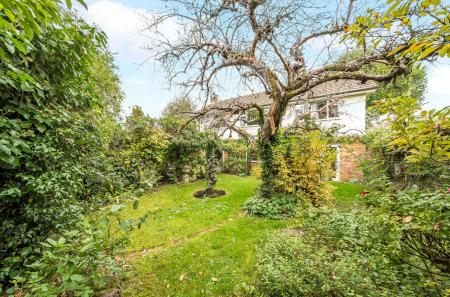 1369346-3-68f0e12...