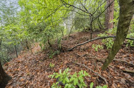 1400355-35-6978e7...