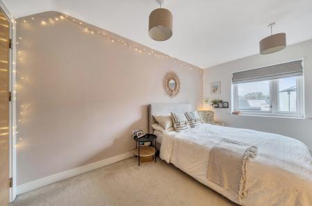 1405154-4-6985fef...