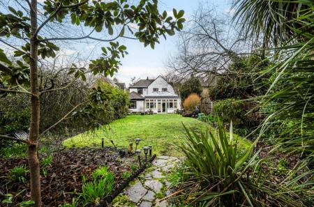 1411331-3-698de70...