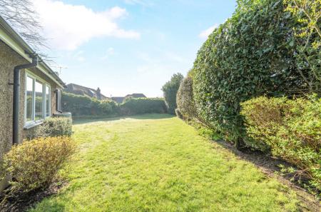 1415823-2-69a9557...