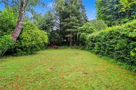 Picture No. 18