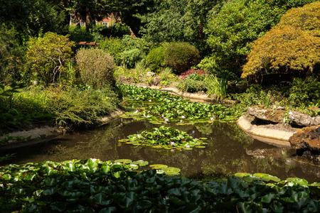 Water Garden