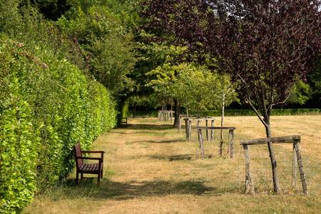 Village Walk