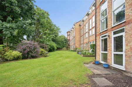 Rear Patio