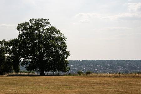 Village View