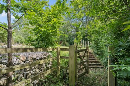 Woodland Walk