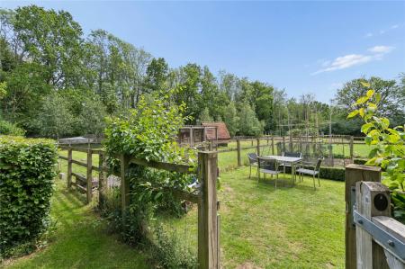 Kitchen Garden