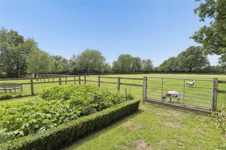 Kitchen Garden