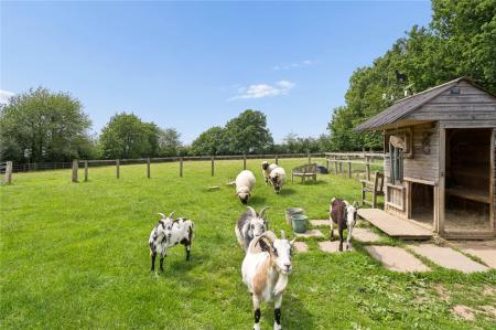 Paddocks