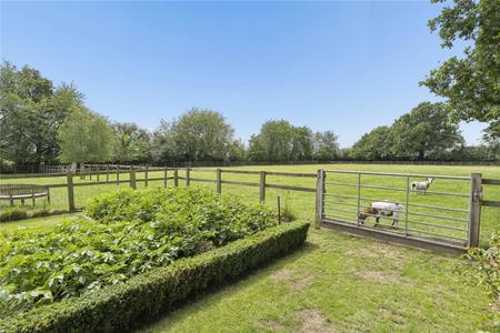 Kitchen Garden