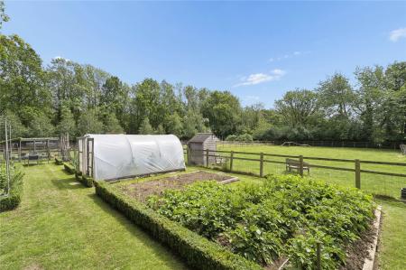 Kitchen Garden