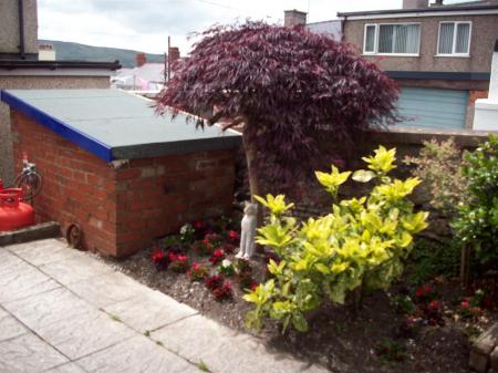 1 Caradog Blue Shed 2.JPG