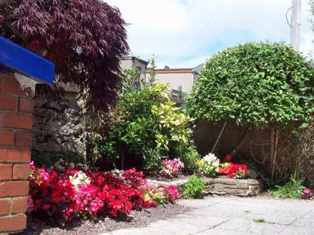 1 Caradog 100_8726.JPG