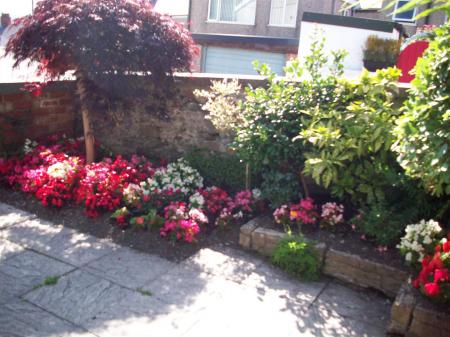 1 Caradog 100_8732.JPG