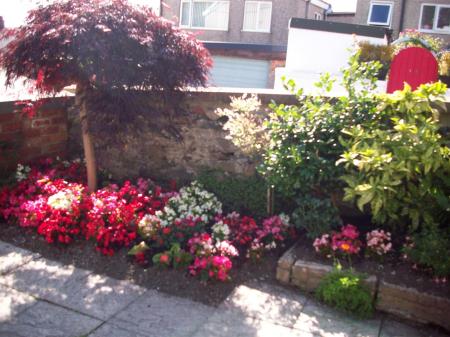 1 Caradog 100_8730.JPG