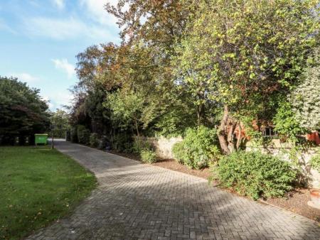 11 Queens 453228705.jpg