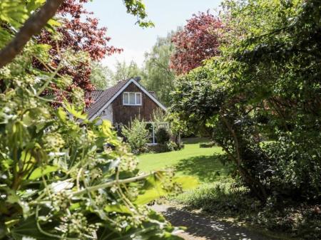 11 Queens 453228864.jpg