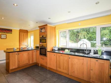 11 Quuens 453476839.jpg