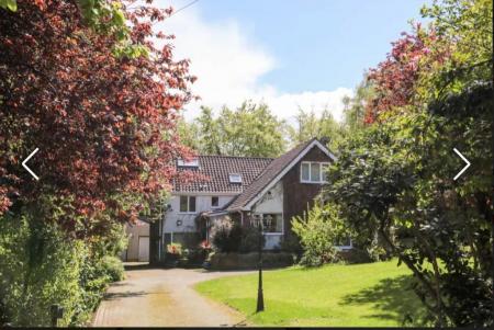 11 Queens 453475900.jpg