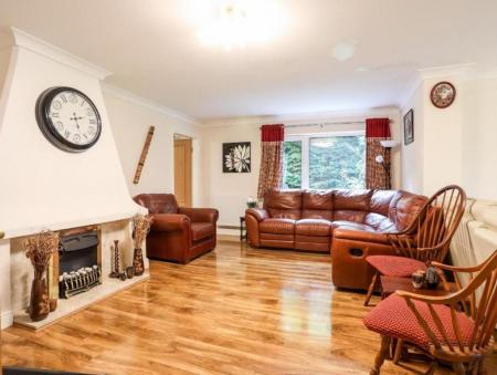 11 Quens 453495051.jpg