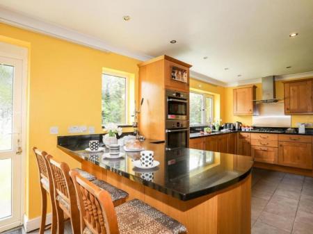 11 Quuens 453476844.jpg