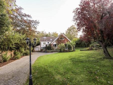 11 Queens 574511918.jpg