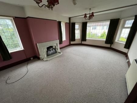 The Brow IMG_8931.jpg