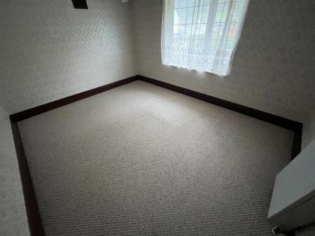 The Brow IMG_8933.jpg