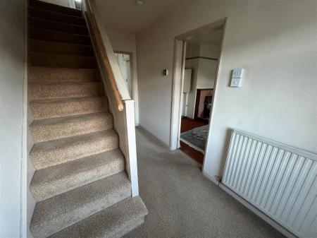 Denness IMG_9140.jpeg