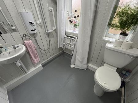 4 Dingle IMG_9155.jpeg