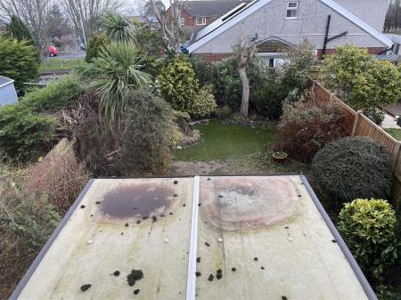 58 Rhodfa Wen IMG_9198.jpeg