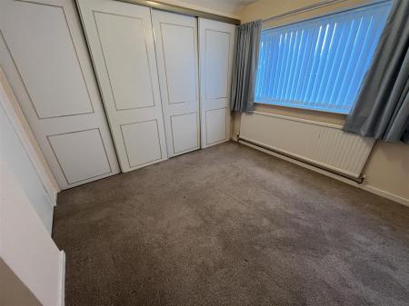 29 FF y G IMG_9178.jpeg