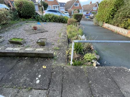 29 FF y G IMG_9182.jpeg