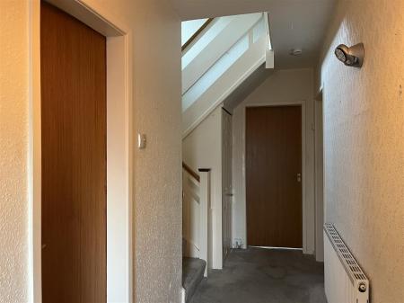 29 FF y G IMG_9167.jpeg