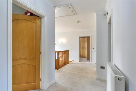 Dwynwen DSC_0192.jpg