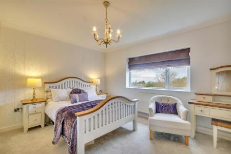 Dwynwen DSC_0188.jpg