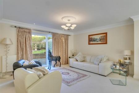 Dwynwen DSC_0200.jpg