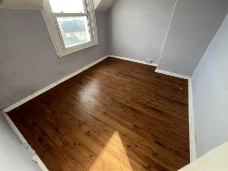 TF 3 Avalllon IMG_9432.jpeg