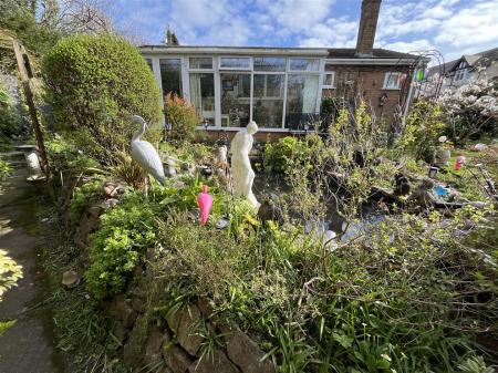 15 Groes IMG_9791.jpeg