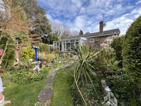 15 Groes IMG_9782.jpeg