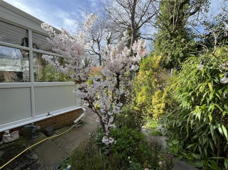 15 Groes IMG_9789.jpeg