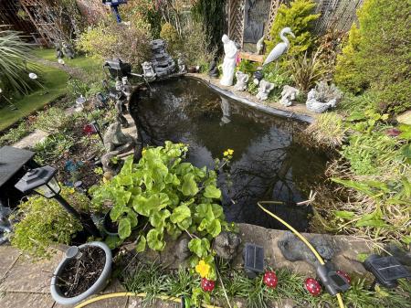 15 Groes IMG_9780.jpeg