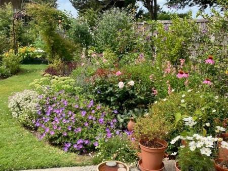 back garden 1.jpg