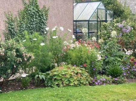 back garden 3.jpg