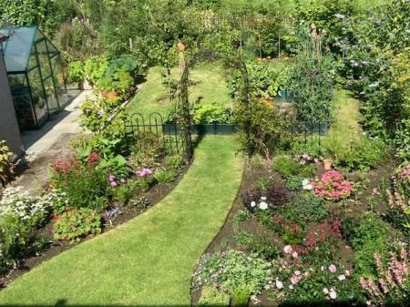 back garden 2.jpg
